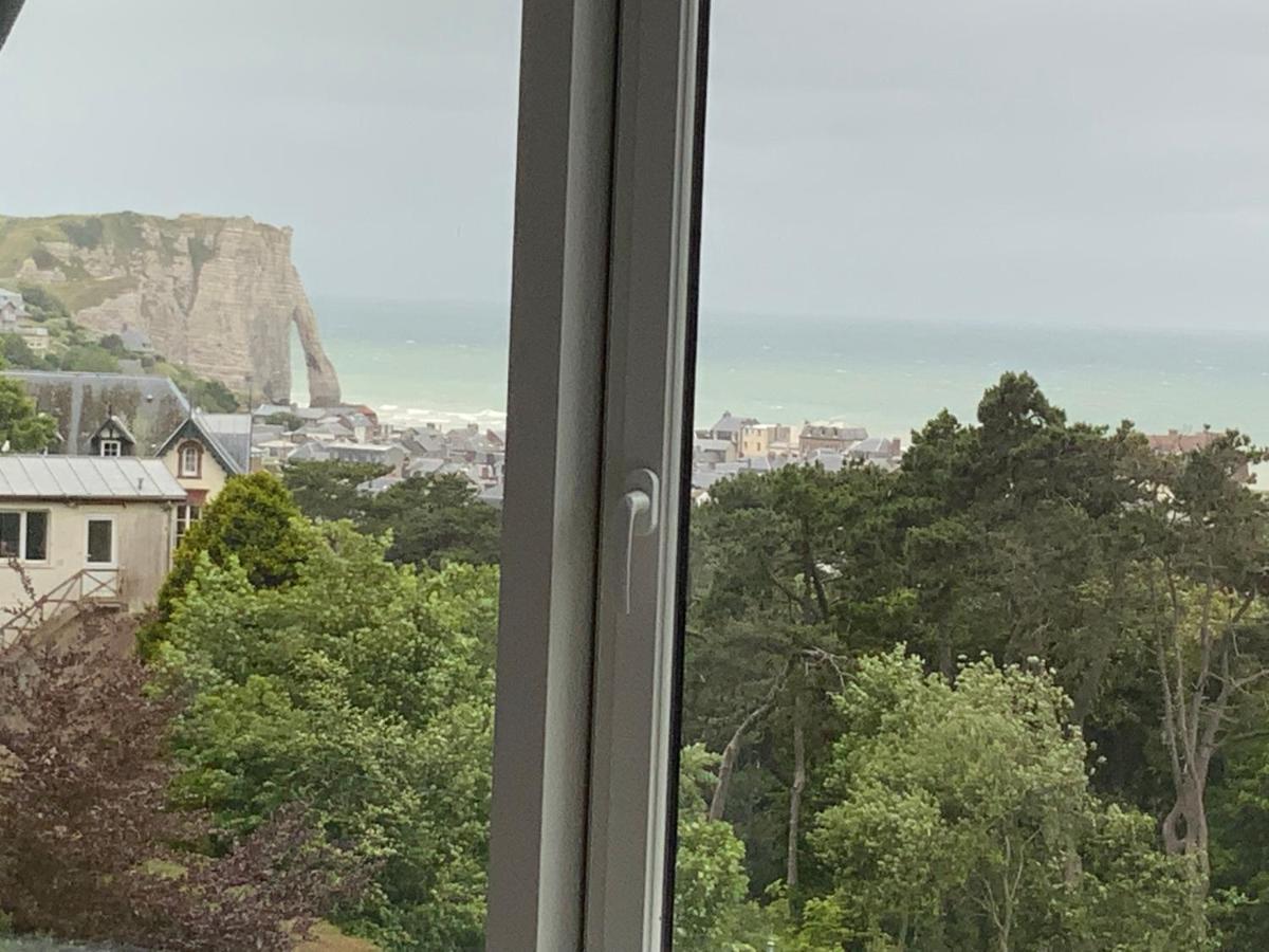 Panorama, Vue Et Falaises D Étretat